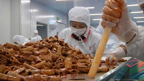 揭秘零食工廠 走進(jìn)良品鋪子荊州生產(chǎn)基地，見證美味誕生之旅