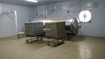 食品廠轉型良機 咸蛋廠整線設備打包轉讓，含鍋爐、殺菌鍋、洗蛋機等